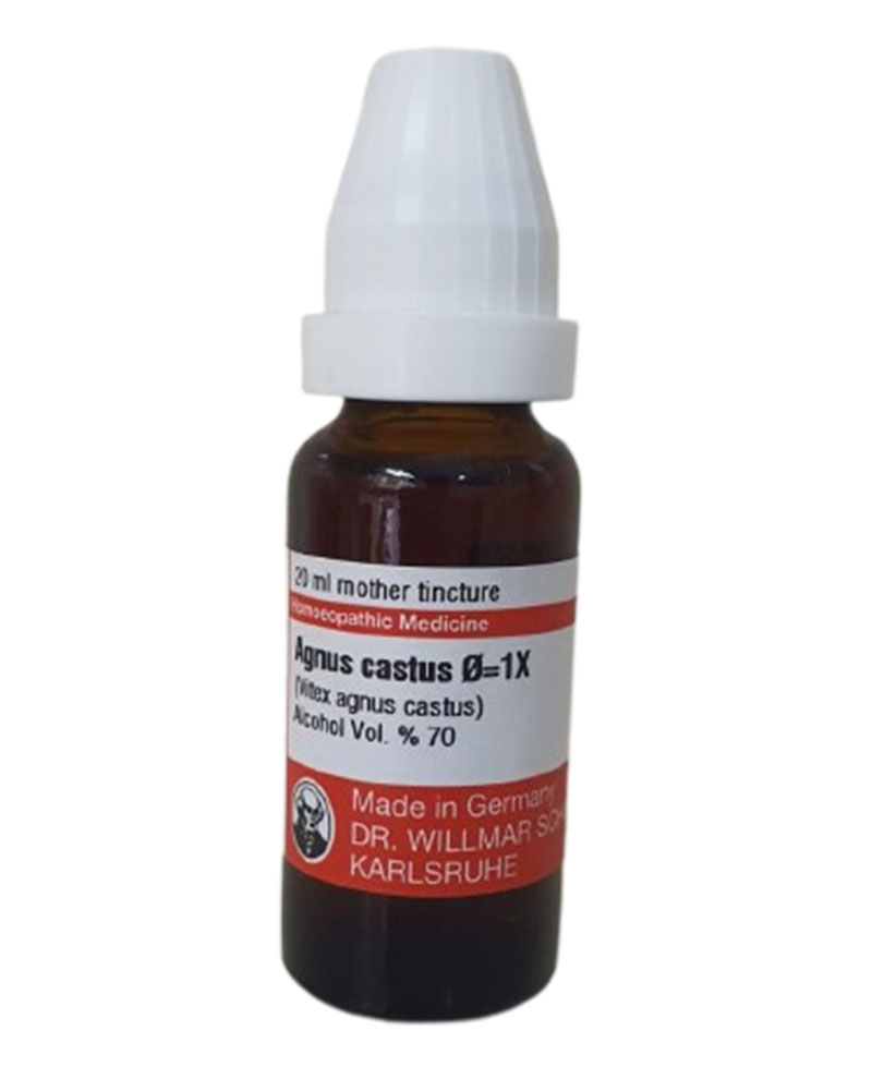 Agnus Castus Mother Tincture Q Dr. Willmar Schwabe - Men