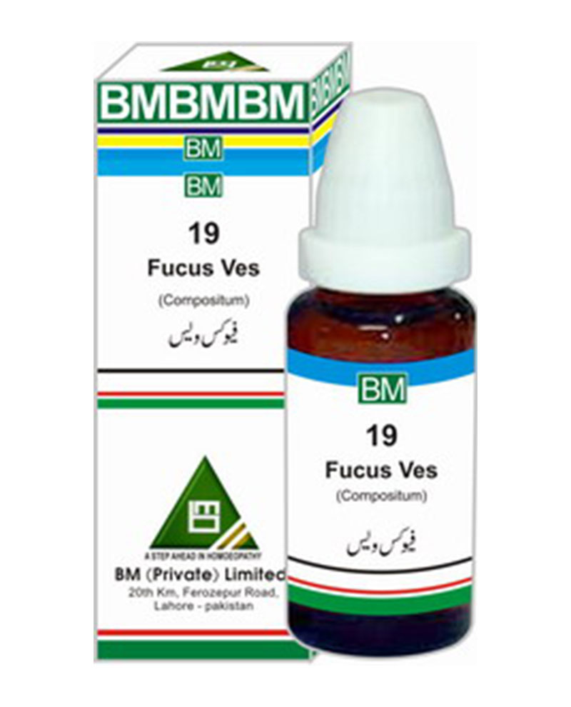 BM 19 - All