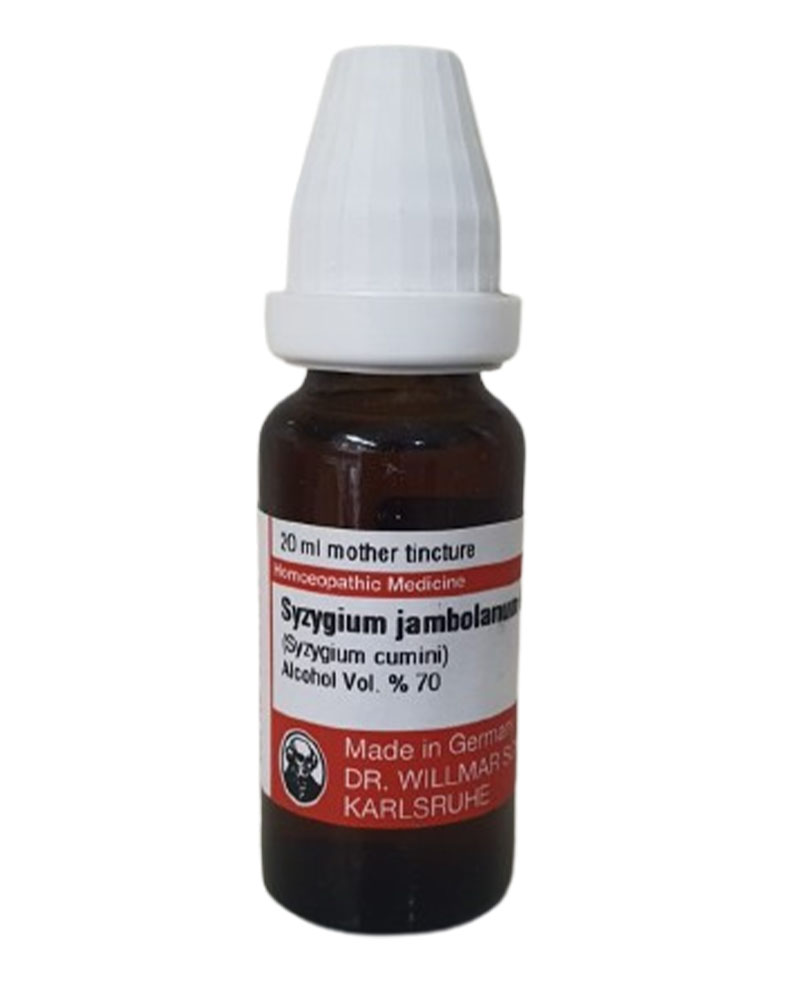 Syzygium Jambolanum Q Dr. Willmar Schwabe - All