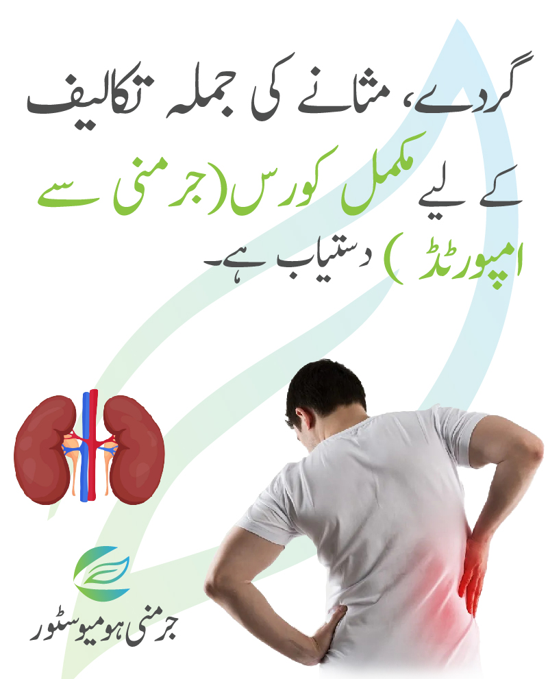 Kidney Course